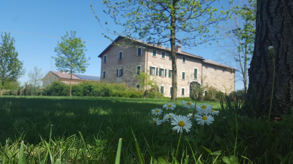 Agriturismo Il Brugnolo Villa Scandiano Exteriör bild