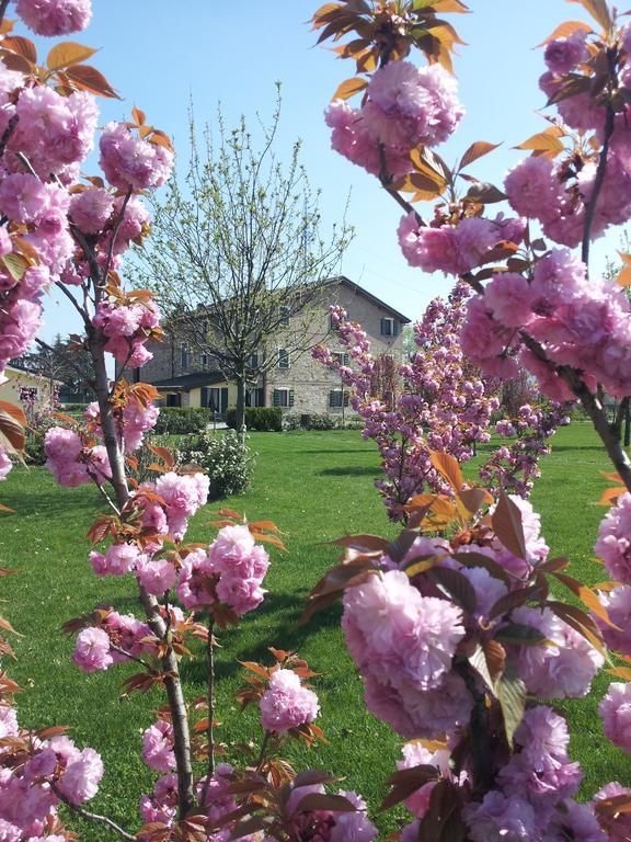 Agriturismo Il Brugnolo Scandiano Exteriör bild