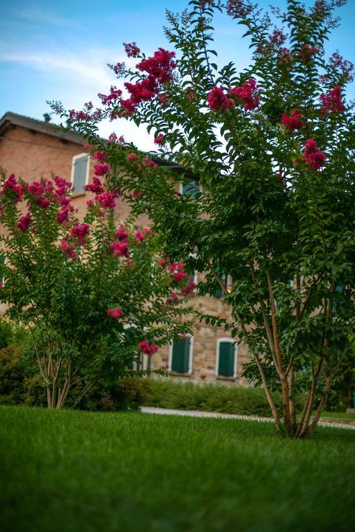 Agriturismo Il Brugnolo Villa Scandiano Exteriör bild